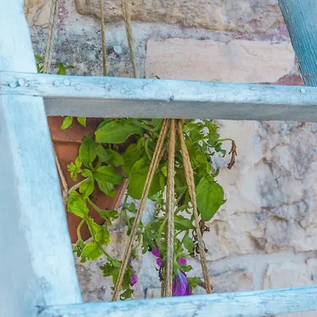 Trullo Olive Tree Holiday home Locorotondo