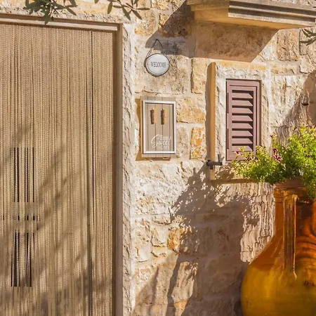 Trullo Olive Tree *