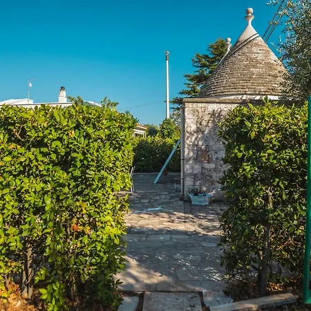 Trullo Olive Tree Locorotondo