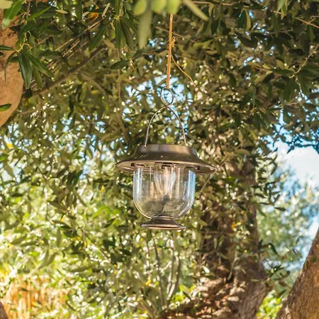Holiday home Trullo Olive Tree *