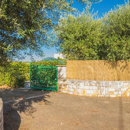 Trullo Olive Tree Locorotondo