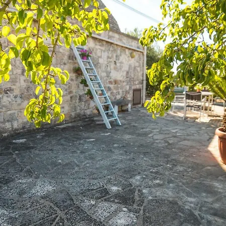 Trullo Olive Tree